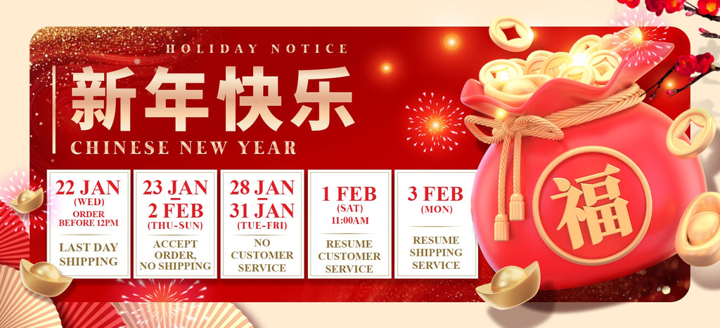 2025 Chinese New Year Holiday Notice