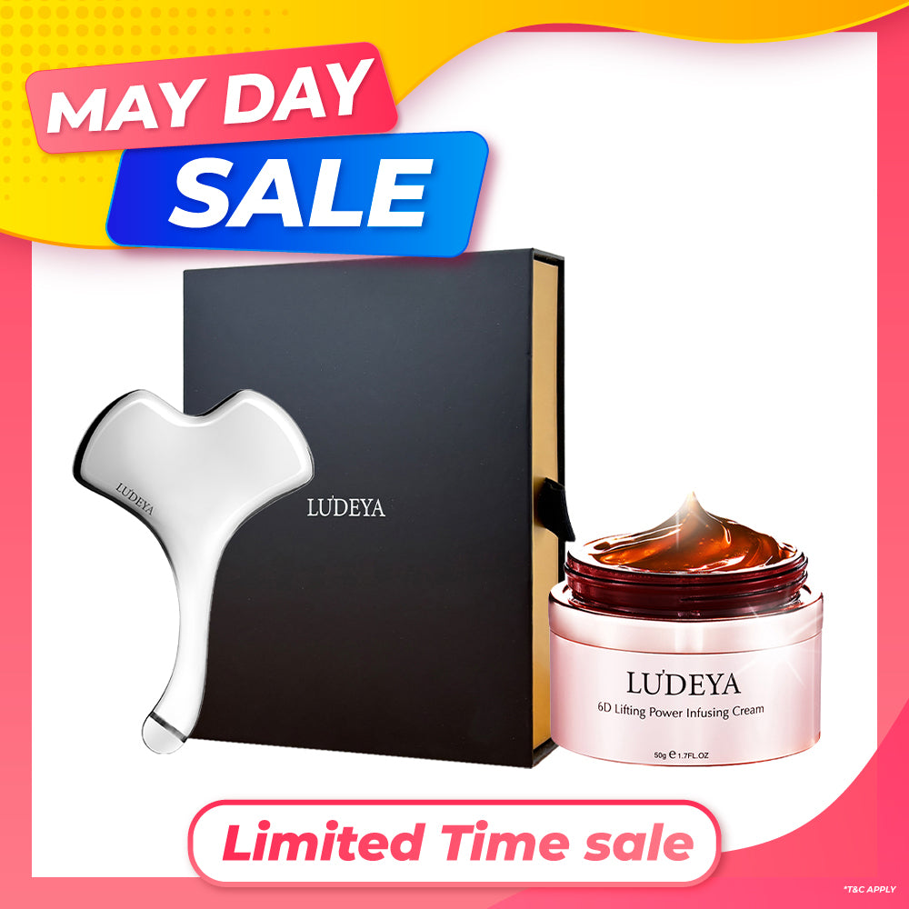 Ludeya Magnetic Microcurrent Toning Device + Infusing Cream 50g