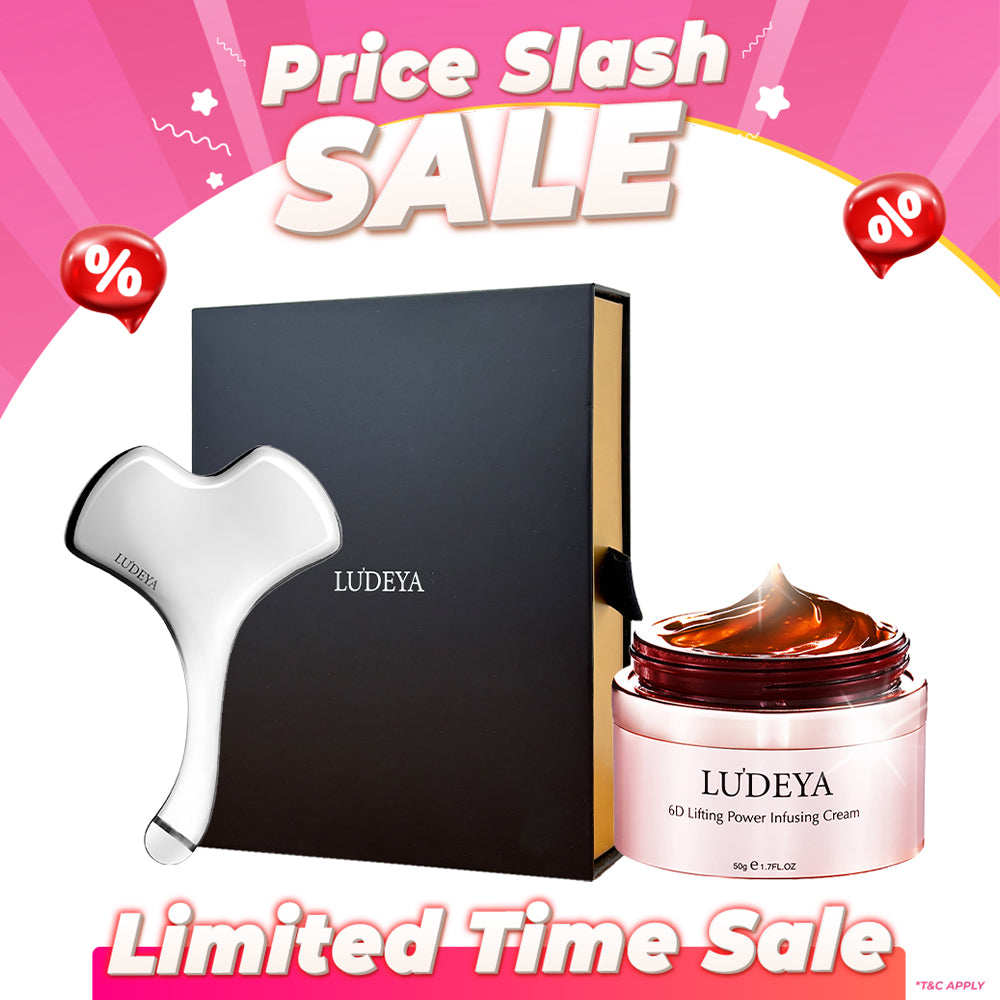 Ludeya Magnetic Microcurrent Toning Device + Infusing Cream 50g