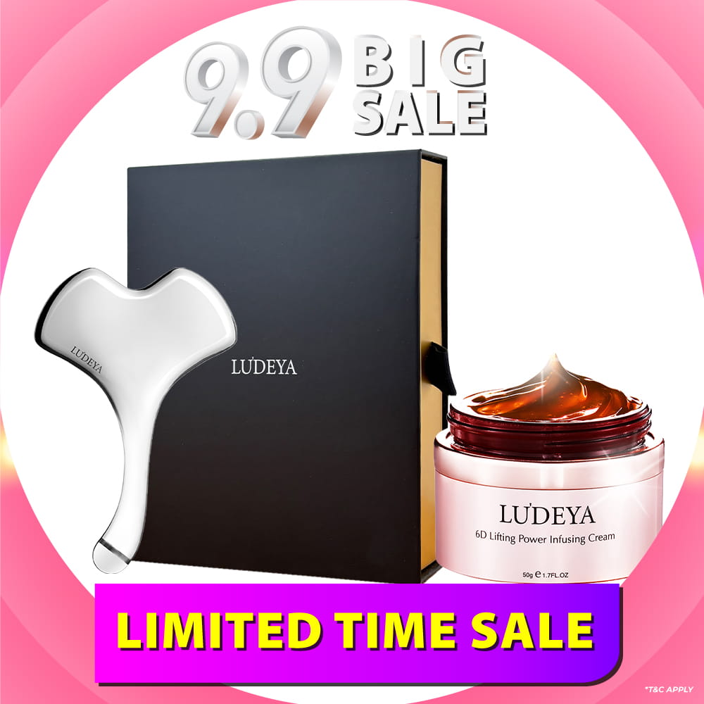Ludeya Magnetic Microcurrent Toning Device + Infusing Cream 50g